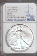 American Silver Eagle N452