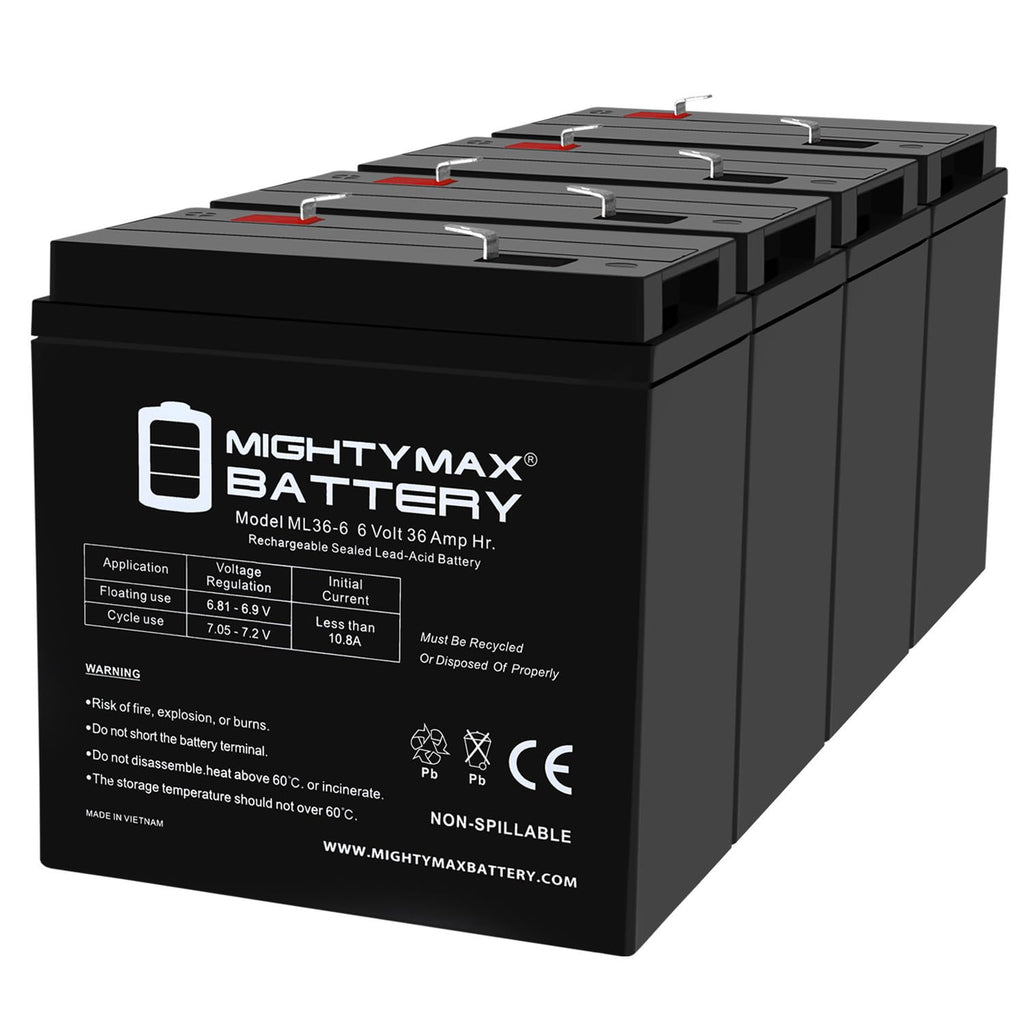 6V 36Ah AGM F2 Terminal Battery D80707
