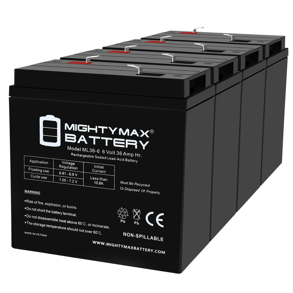 6V 36Ah AGM F2 Terminal Battery D80707