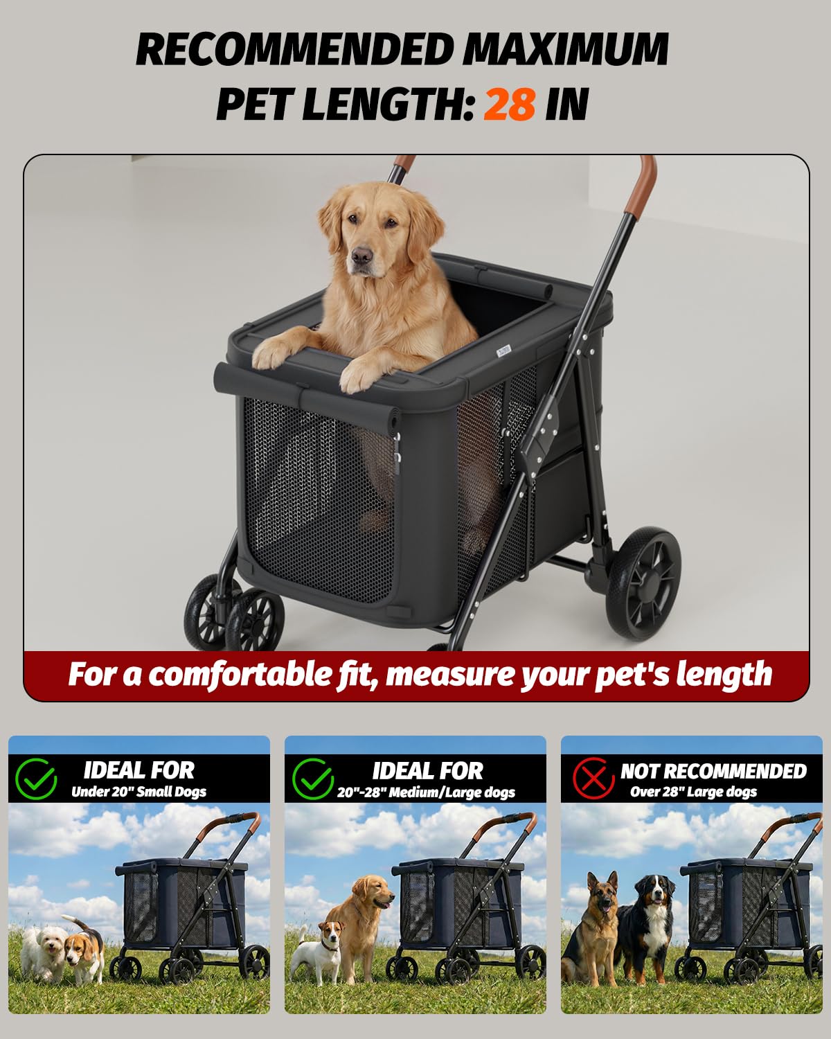 Black Dog Stroller G110