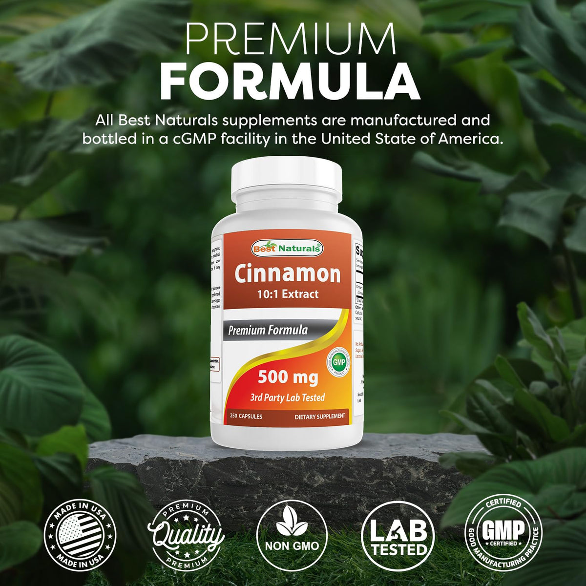 Cinnamon 500 mg 250 Capsules B35362