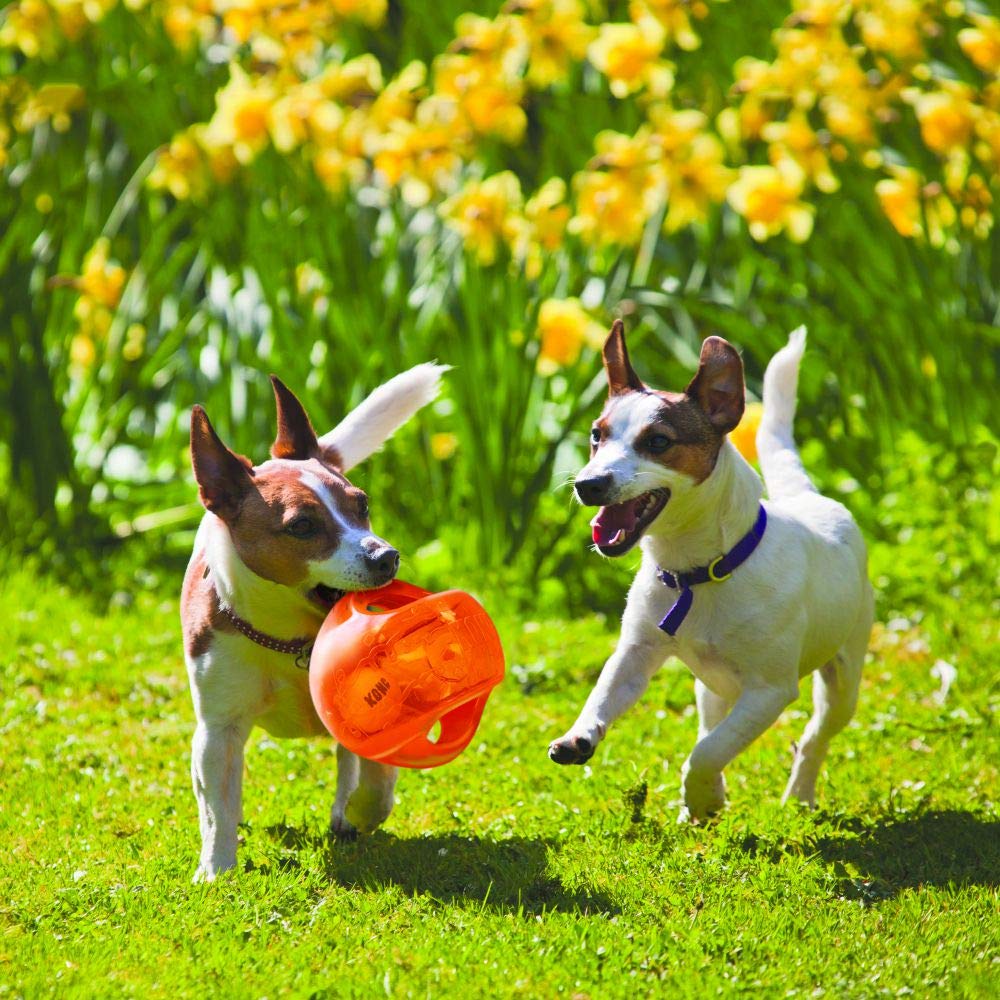 Interactive Fetch Ball for Medium Large Dogs L1168