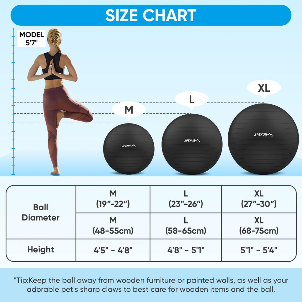 Adjustable Ankle Weights + Yoga Ball T429396