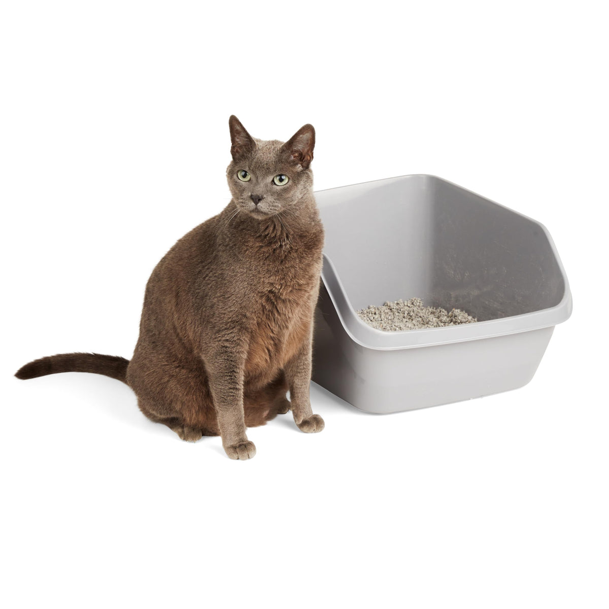 Grey Large High-Back Litter Box K294678