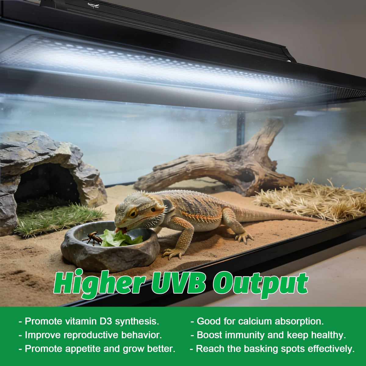 15W T8 UVB Reptile Light Fixture 18 Inch C952013