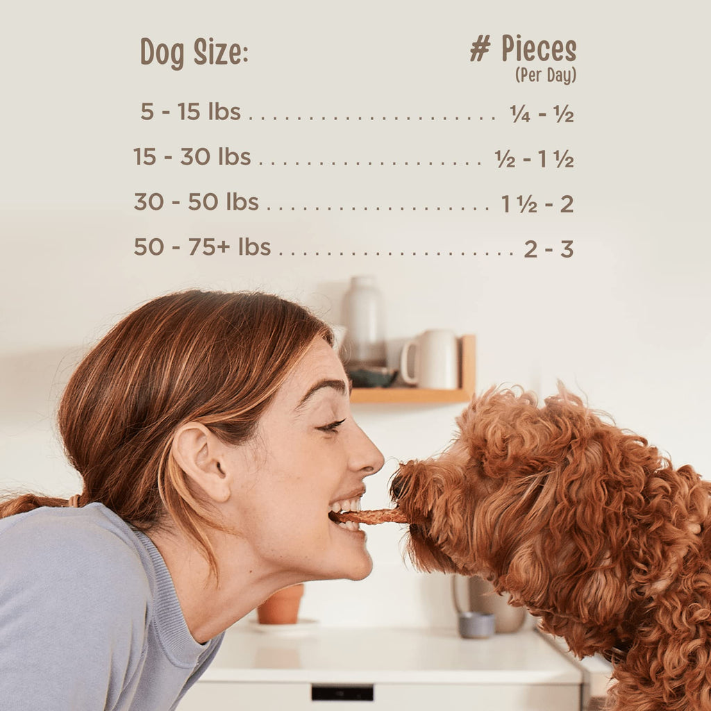 Chicken Fillet Dog Treats 48 oz C298