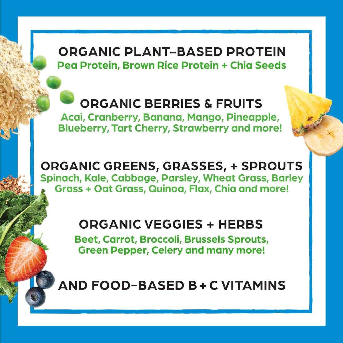 Organic Vegan Protein Powder + Superfoods Powder Bundle Z461