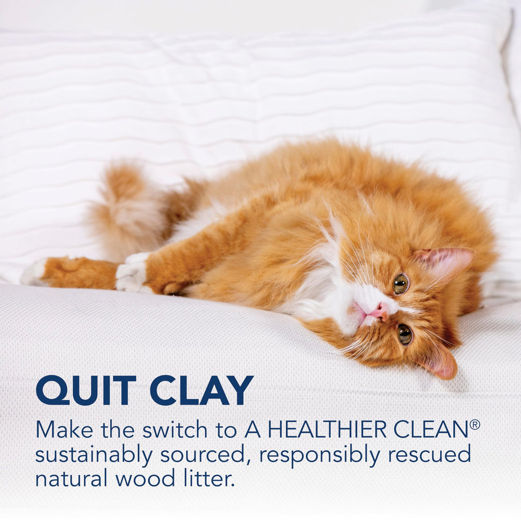 Low Tracking Natural Wood Clumping Cat Litter 21.5 Lbs V888315