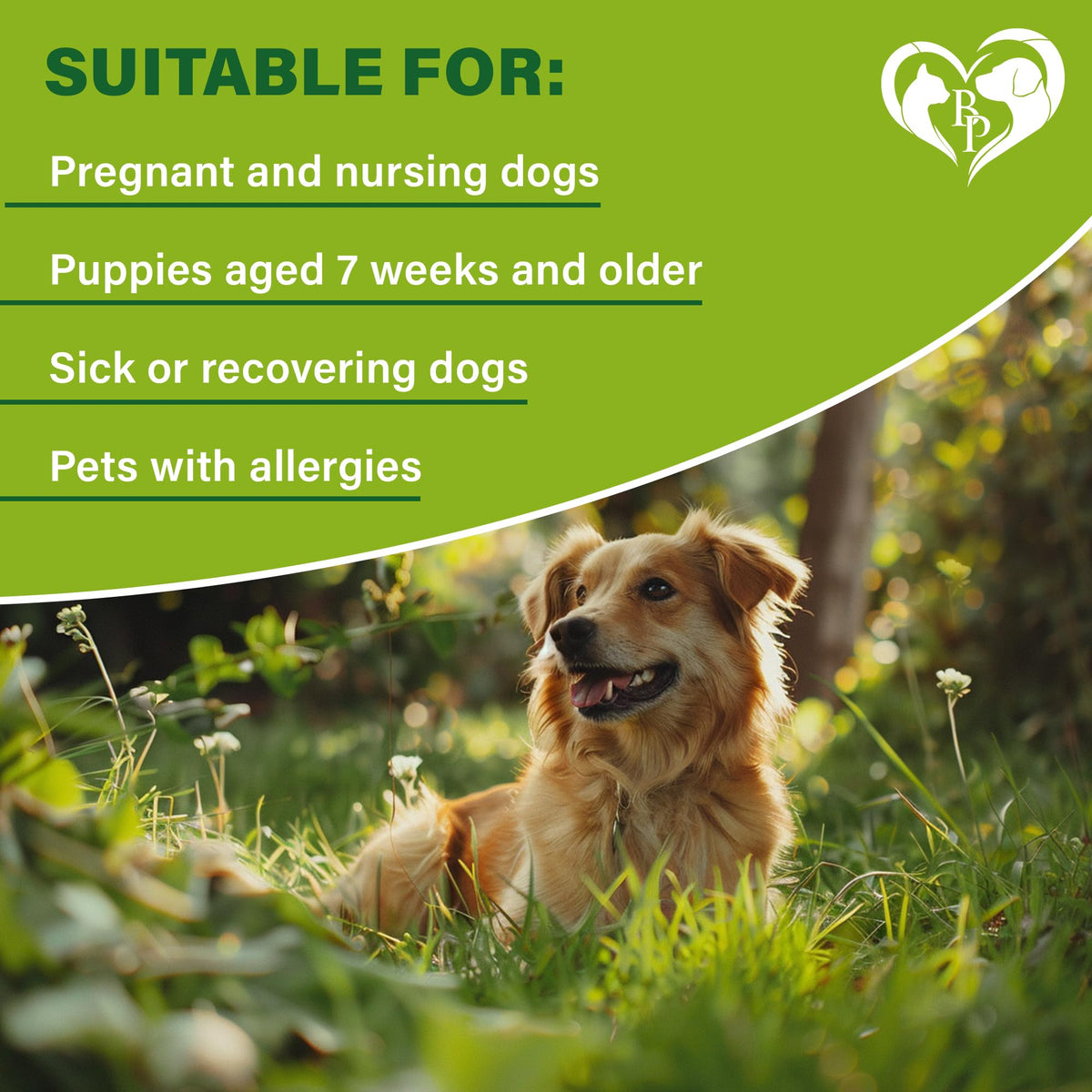 Natural Flea & Tick Collar for Dogs O7436