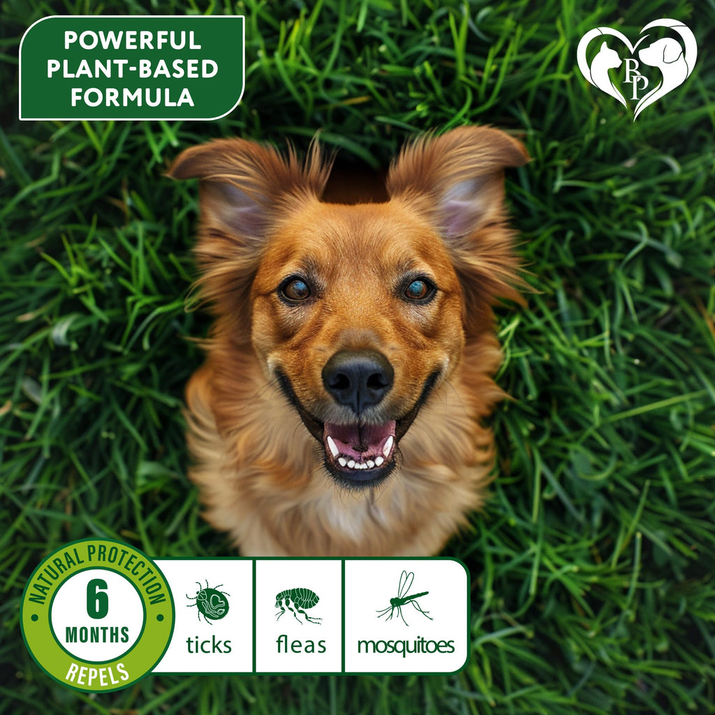 Natural Flea & Tick Collar for Dogs O7436