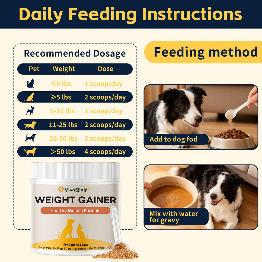 Dog Weight Gainer Pet Supplement with Vitamins & Minerals Chicken Flavor Y2757