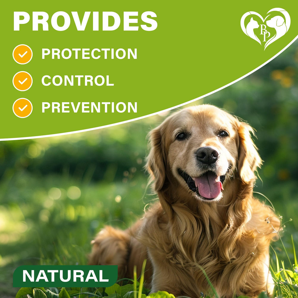 Natural Flea & Tick Collar for Dogs O7436