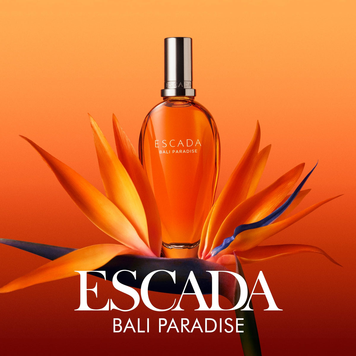 Floral Eau De Toilette with Dragon Fruit, Bird of Paradise & Sandalwood C3685