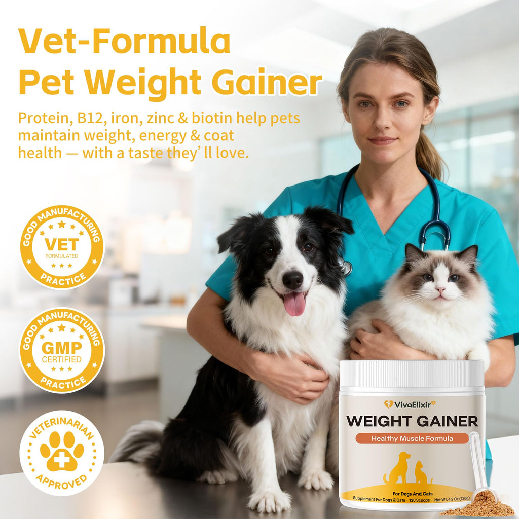 Dog Weight Gainer Pet Supplement with Vitamins & Minerals Chicken Flavor Y2757