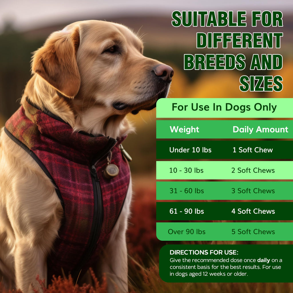 Flea and Tick Chewables for Dogs Chicken 120 Soft Treats N385470
