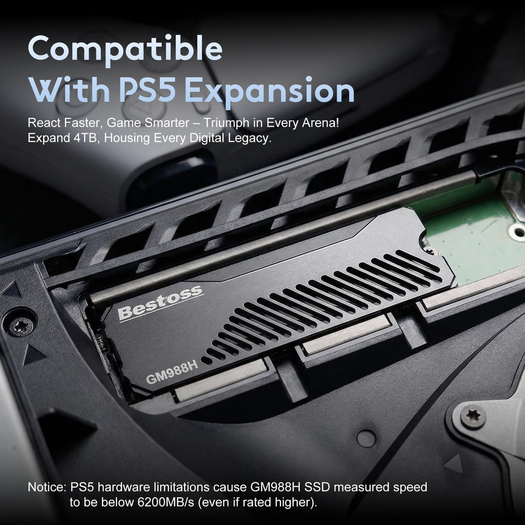 1TB PCIe 4.0 NVMe M.2 2280 SSD with Heatsink P61944