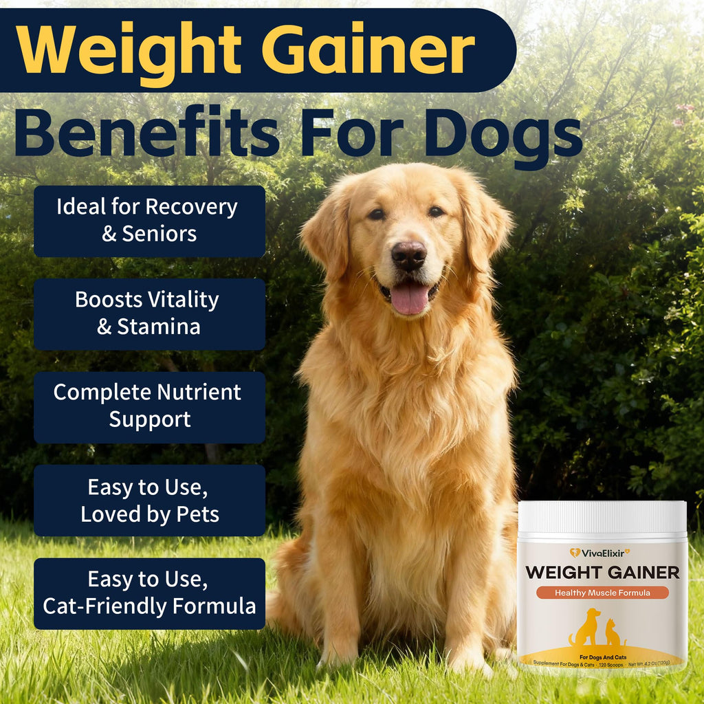 Dog Weight Gainer Pet Supplement with Vitamins & Minerals Chicken Flavor Y2757