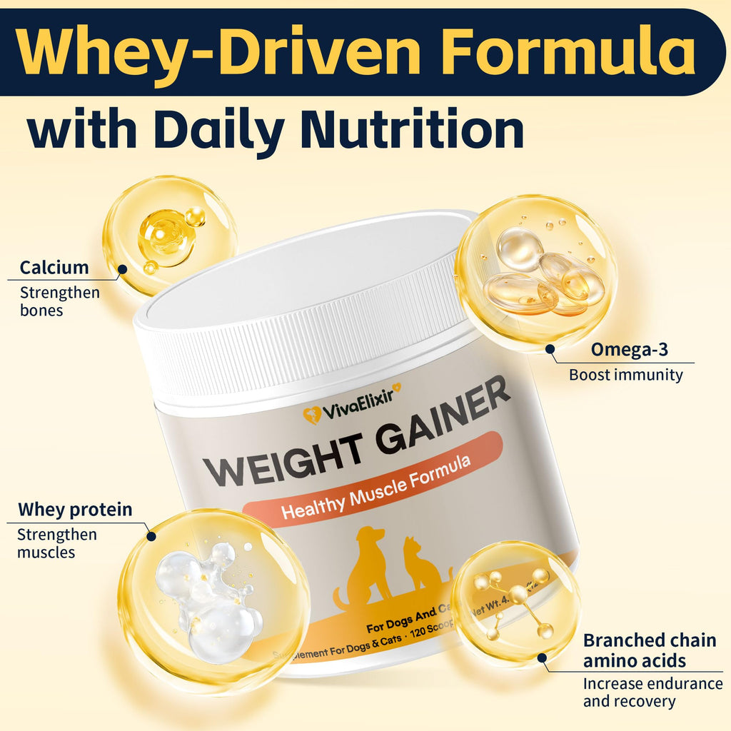 Dog Weight Gainer Pet Supplement with Vitamins & Minerals Chicken Flavor Y2757
