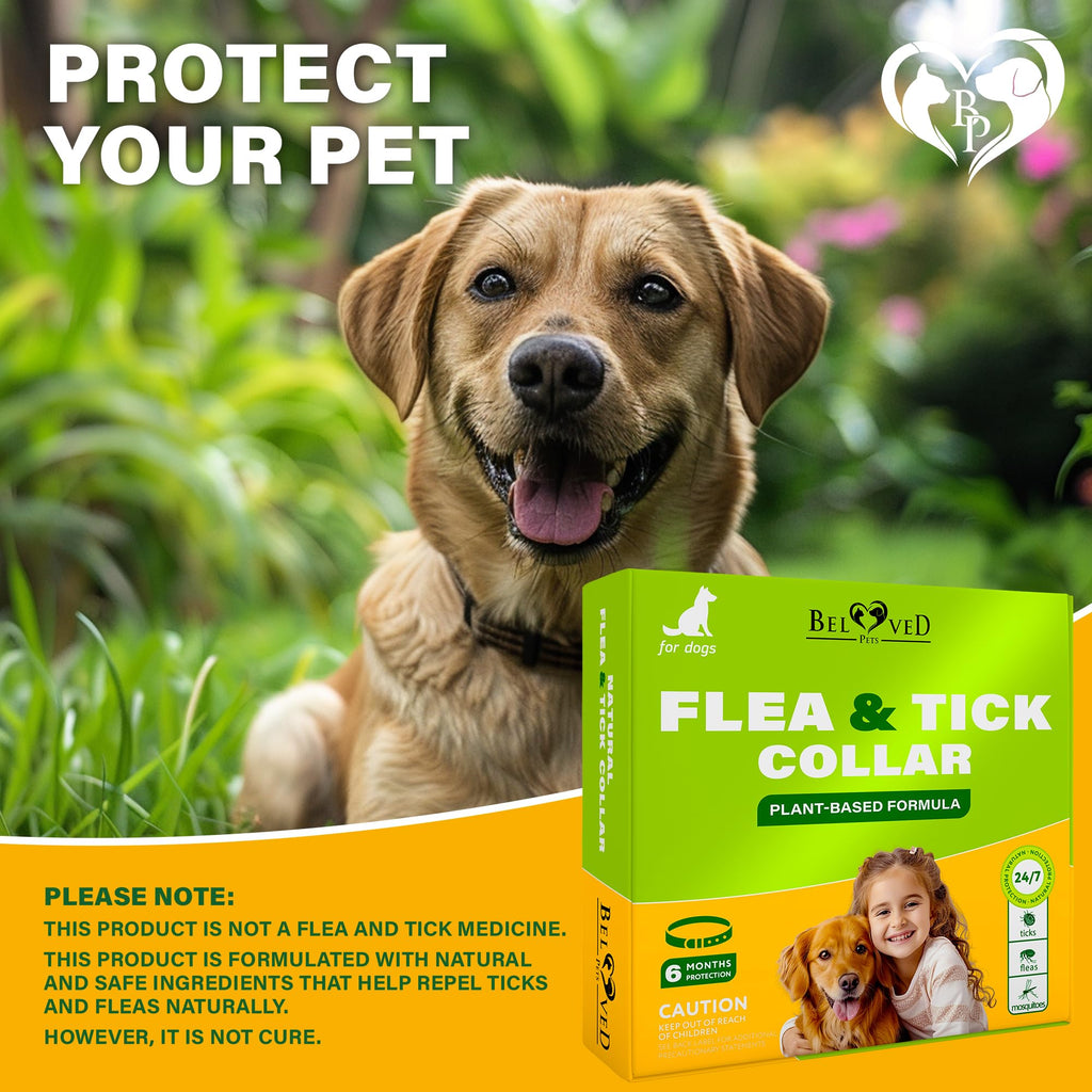 Natural Flea & Tick Collar for Dogs O7436