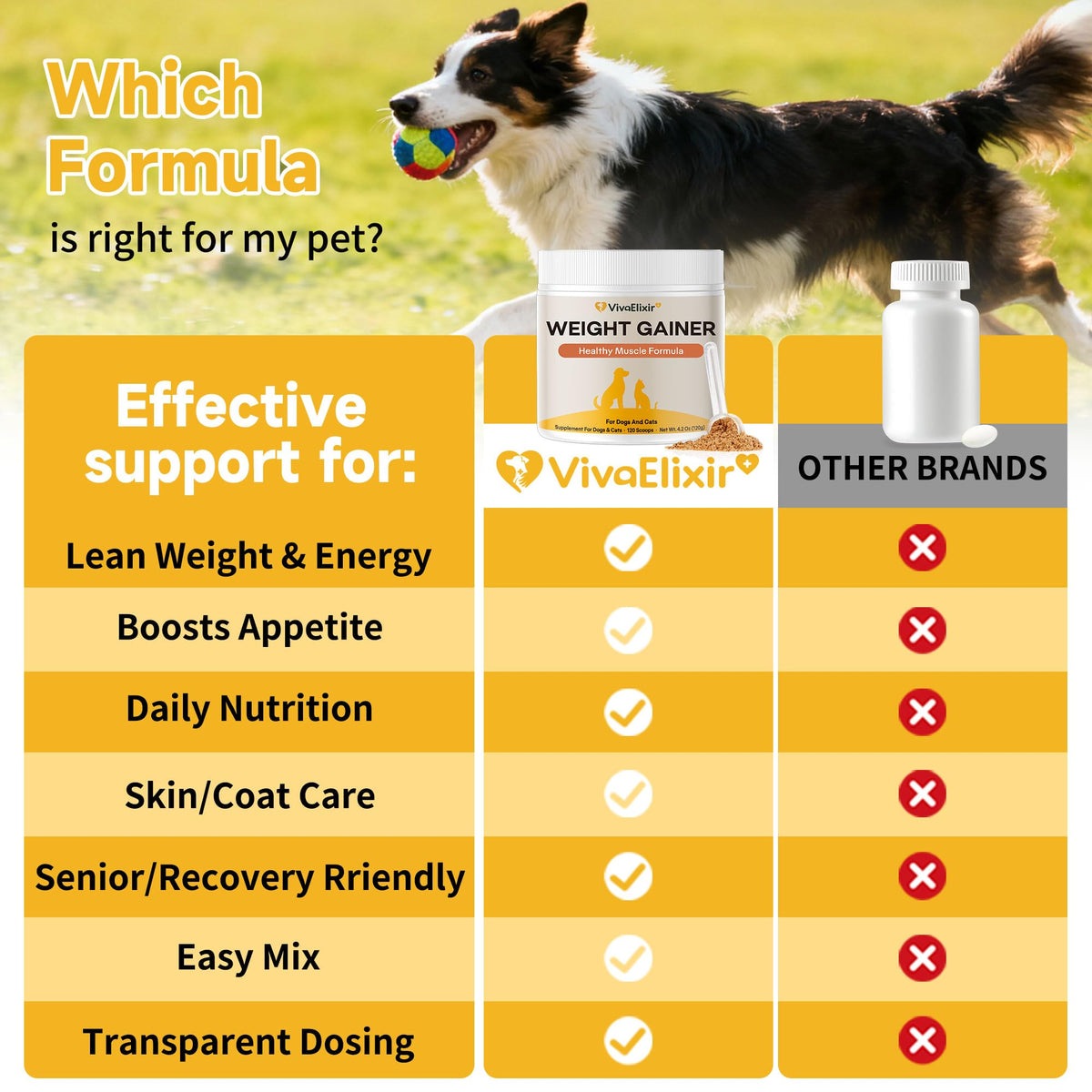 Dog Weight Gainer Pet Supplement with Vitamins & Minerals Chicken Flavor Y2757
