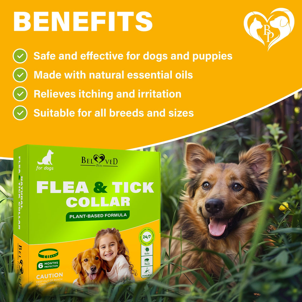 Natural Flea & Tick Collar for Dogs O7436