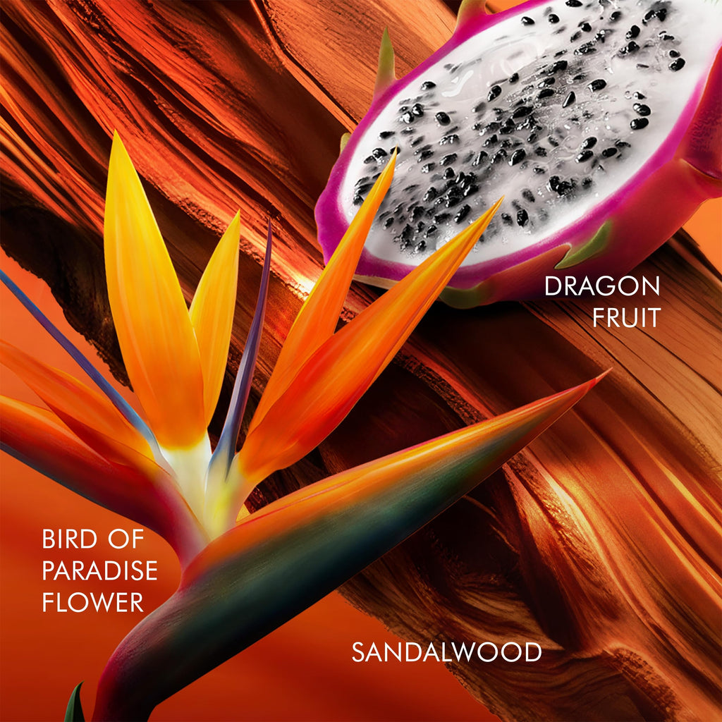 Floral Eau De Toilette with Dragon Fruit, Bird of Paradise & Sandalwood C3685